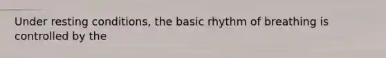 Under resting conditions, the basic rhythm of breathing is controlled by the