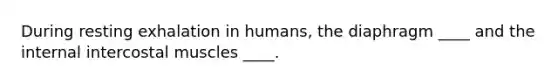 During resting exhalation in humans, the diaphragm ____ and the internal intercostal muscles ____.