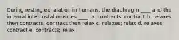 During resting exhalation in humans, the diaphragm ____ and the internal intercostal muscles ____. a. contracts; contract b. relaxes then contracts; contract then relax c. relaxes; relax d. relaxes; contract e. contracts; relax