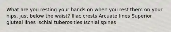 What are you resting your hands on when you rest them on your hips, just below the waist? Iliac crests Arcuate lines Superior gluteal lines Ischial tuberosities Ischial spines