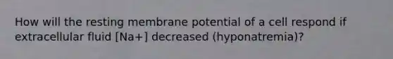 How will the resting membrane potential of a cell respond if extracellular fluid [Na+] decreased (hyponatremia)?