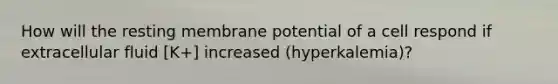 How will the resting membrane potential of a cell respond if extracellular fluid [K+] increased (hyperkalemia)?