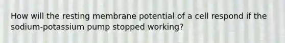 How will the resting membrane potential of a cell respond if the sodium-potassium pump stopped working?