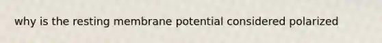 why is the resting membrane potential considered polarized