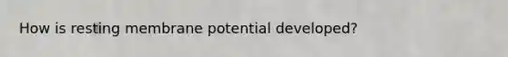 How is resting membrane potential developed?