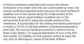 A resting membrane potential exists across the plasma membrane of excitable cells that are unstimulated (at rest). The resting membrane potential exists because of a small buildup of negative ions in the cytosol along the inside surface of the membrane, and an equal buildup of positive ions in the extracellular fluid (ECF) along the outside surface of the membrane. A typical value for the resting membrane potential of a neuron is 70 mV. A cell that exhibits a membrane potential is polarized. The resting membrane potential is determined by three major factors: (1) unequal distribution of ions in the ECF and cytosol; (2) inability of most cytosolic anions to leave the cell; and (3) electrogenic nature of the Na/K ATPases.