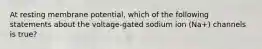 At resting membrane potential, which of the following statements about the voltage-gated sodium ion (Na+) channels is true?