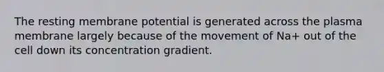 The resting membrane potential is generated across the plasma membrane largely because of the movement of Na+ out of the cell down its concentration gradient.