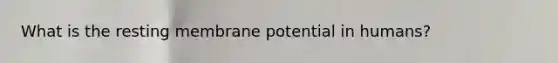 What is the resting membrane potential in humans?