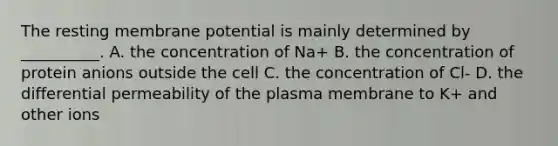 The resting membrane potential is mainly determined by __________. A. the concentration of Na+ B. the concentration of protein anions outside the cell C. the concentration of Cl- D. the differential permeability of the plasma membrane to K+ and other ions