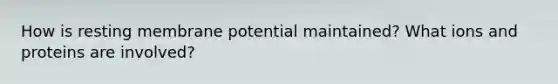 How is resting membrane potential maintained? What ions and proteins are involved?