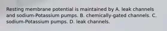 Resting membrane potential is maintained by A. leak channels and sodium-Potassium pumps. B. chemically-gated channels. C. sodium-Potassium pumps. D. leak channels.