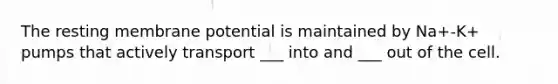 The resting membrane potential is maintained by Na+-K+ pumps that actively transport ___ into and ___ out of the cell.