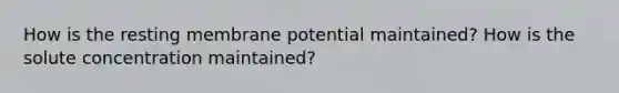 How is the resting membrane potential maintained? How is the solute concentration maintained?