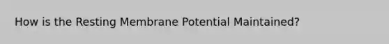 How is the Resting Membrane Potential Maintained?