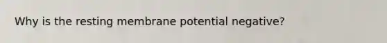 Why is the resting membrane potential negative?