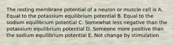 The resting membrane potential of a neuron or muscle cell is A. Equal to the potassium equilibrium potential B. Equal to the sodium equilibrium potential C. Somewhat less negative than the potassium equilibrium potential D. Someone more positive than the sodium equilibrium potential E. Not change by stimulation