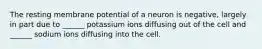 The resting membrane potential of a neuron is negative, largely in part due to ______ potassium ions diffusing out of the cell and ______ sodium ions diffusing into the cell.