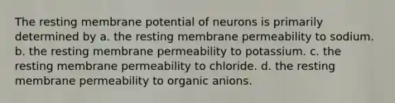 The resting membrane potential of neurons is primarily determined by a. the resting membrane permeability to sodium. b. the resting membrane permeability to potassium. c. the resting membrane permeability to chloride. d. the resting membrane permeability to organic anions.