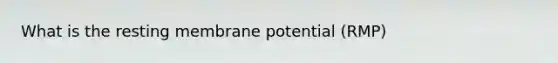 What is the resting membrane potential (RMP)