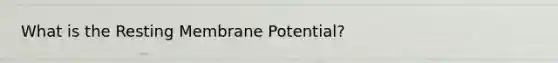 What is the Resting Membrane Potential?