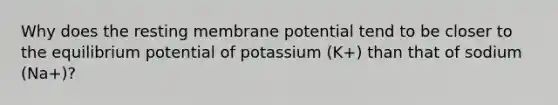 Why does the resting membrane potential tend to be closer to the equilibrium potential of potassium (K+) than that of sodium (Na+)?