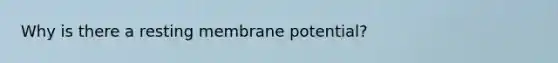 Why is there a resting membrane potential?