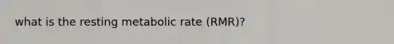 what is the resting metabolic rate (RMR)?