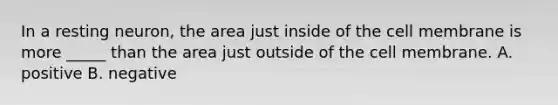 In a resting neuron, the area just inside of the cell membrane is more _____ than the area just outside of the cell membrane. A. positive B. negative