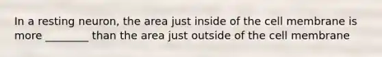 In a resting neuron, the area just inside of the cell membrane is more ________ than the area just outside of the cell membrane