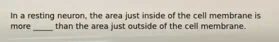 In a resting neuron, the area just inside of the cell membrane is more _____ than the area just outside of the cell membrane.