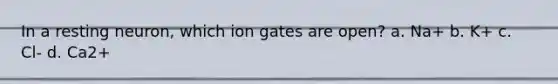 In a resting neuron, which ion gates are open? a. Na+ b. K+ c. Cl- d. Ca2+