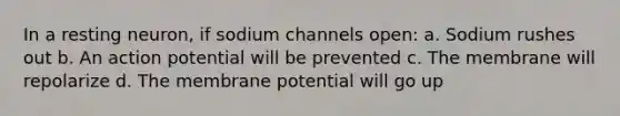 In a resting neuron, if sodium channels open: a. Sodium rushes out b. An action potential will be prevented c. The membrane will repolarize d. The membrane potential will go up