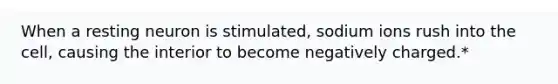 When a resting neuron is stimulated, sodium ions rush into the cell, causing the interior to become negatively charged.*