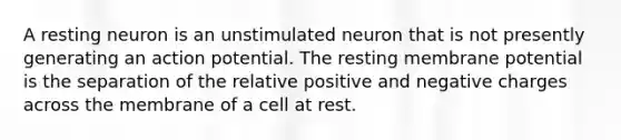 A resting neuron is an unstimulated neuron that is not presently generating an action potential. The resting membrane potential is the separation of the relative positive and negative charges across the membrane of a cell at rest.