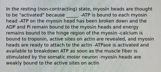 In the resting (non-contracting) state, myosin heads are thought to be "activated" because _____. -ATP is bound to each myosin head -ATP on the myosin head has been broken down and the ADP and Pi remain bound to the myosin heads and energy remains bound to the hinge region of the myosin -calcium is bound to troponin, active sites on actin are revealed, and myosin heads are ready to attach to the actin -ATPase is activated and available to breakdown ATP as soon as the muscle fiber is stimulated by the somatic motor neuron -myosin heads are weakly bound to the active sites on actin