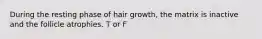 During the resting phase of hair growth, the matrix is inactive and the follicle atrophies. T or F