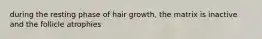 during the resting phase of hair growth, the matrix is inactive and the follicle atrophies