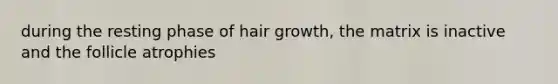 during the resting phase of hair growth, the matrix is inactive and the follicle atrophies