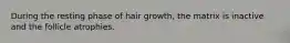 During the resting phase of hair growth, the matrix is inactive and the follicle atrophies.