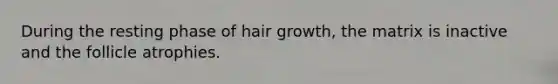 During the resting phase of hair growth, the matrix is inactive and the follicle atrophies.