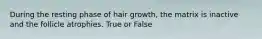 During the resting phase of hair growth, the matrix is inactive and the follicle atrophies. True or False