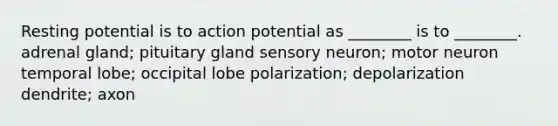 Resting potential is to action potential as ________ is to ________. adrenal gland; pituitary gland sensory neuron; motor neuron temporal lobe; occipital lobe polarization; depolarization dendrite; axon