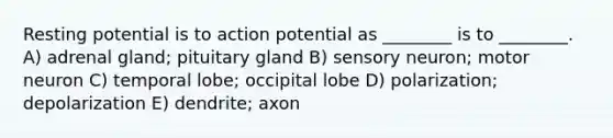 Resting potential is to action potential as ________ is to ________. A) adrenal gland; pituitary gland B) sensory neuron; motor neuron C) temporal lobe; occipital lobe D) polarization; depolarization E) dendrite; axon