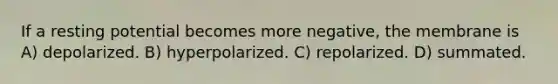 If a resting potential becomes more negative, the membrane is A) depolarized. B) hyperpolarized. C) repolarized. D) summated.