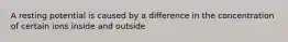 A resting potential is caused by a difference in the concentration of certain ions inside and outside