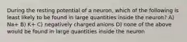 During the resting potential of a neuron, which of the following is least likely to be found in large quantities inside the neuron? A) Na+ B) K+ C) negatively charged anions D) none of the above would be found in large quantities inside the neuron