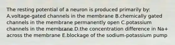 The resting potential of a neuron is produced primarily by: A.voltage-gated channels in the membrane B.chemically gated channels in the membrane permanently open C.potassium channels in the membrane D.the concentration difference in Na+ across the membrane E.blockage of the sodium-potassium pump