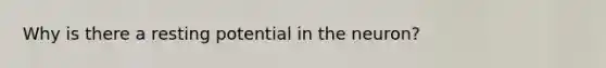 Why is there a resting potential in the neuron?