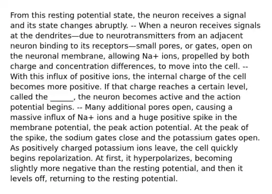 From this resting potential state, the neuron receives a signal and its state changes abruptly. -- When a neuron receives signals at the dendrites—due to neurotransmitters from an adjacent neuron binding to its receptors—small pores, or gates, open on the neuronal membrane, allowing Na+ ions, propelled by both charge and concentration differences, to move into the cell. --With this influx of positive ions, the internal charge of the cell becomes more positive. If that charge reaches a certain level, called the ______, the neuron becomes active and the action potential begins. -- Many additional pores open, causing a massive influx of Na+ ions and a huge positive spike in the membrane potential, the peak action potential. At the peak of the spike, the sodium gates close and the potassium gates open. As positively charged potassium ions leave, the cell quickly begins repolarization. At first, it hyperpolarizes, becoming slightly more negative than the resting potential, and then it levels off, returning to the resting potential.